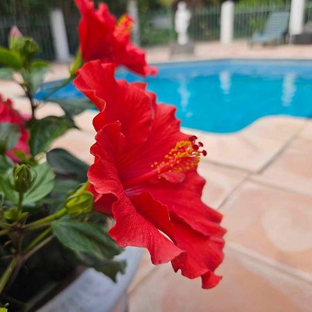 Les Jardins Du Patriarche Hotel アグド エクステリア 写真