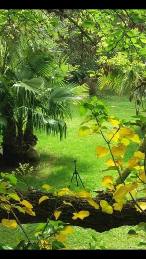 Les Jardins Du Patriarche Hotel アグド エクステリア 写真