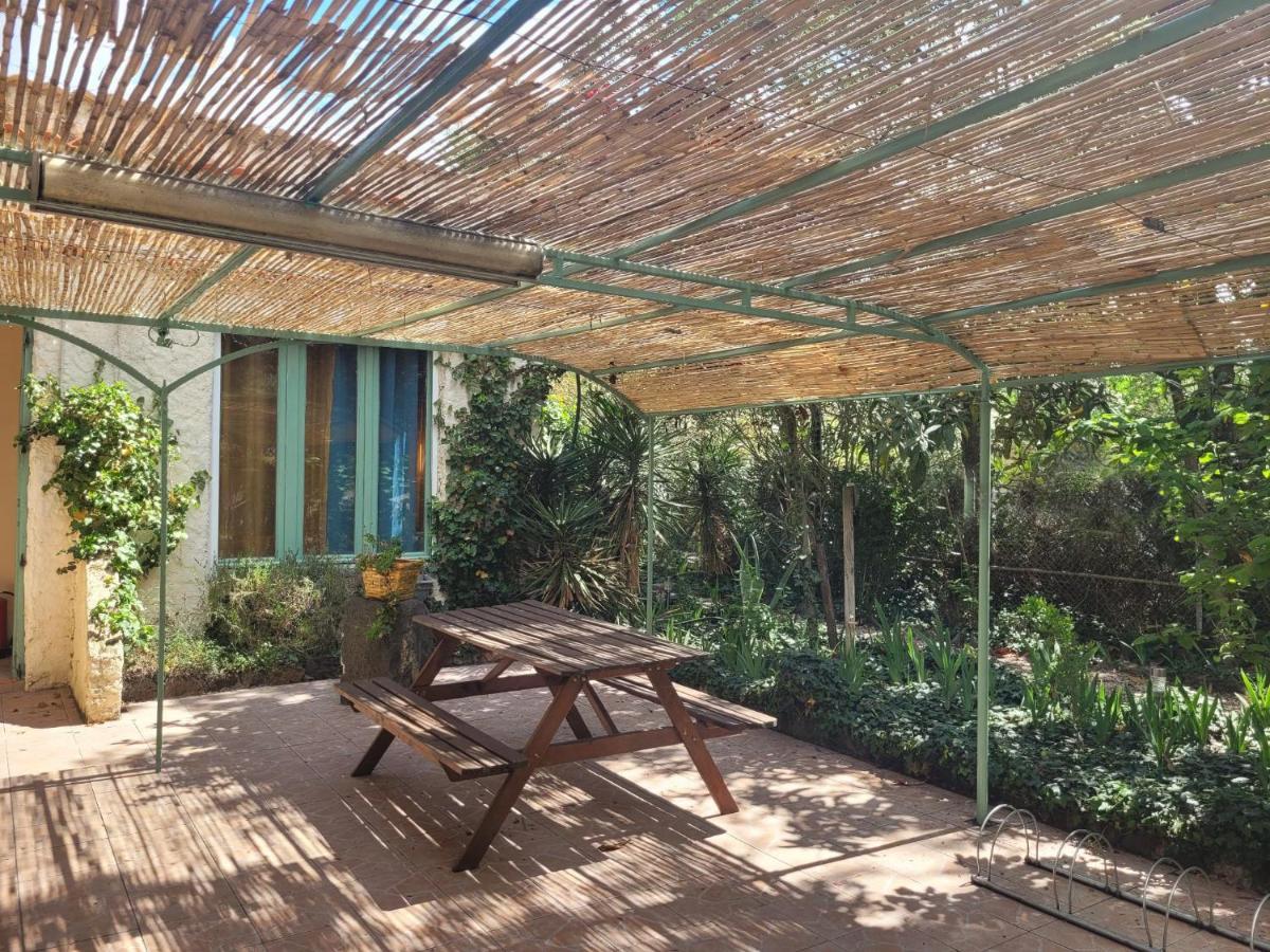 Les Jardins Du Patriarche Hotel アグド エクステリア 写真