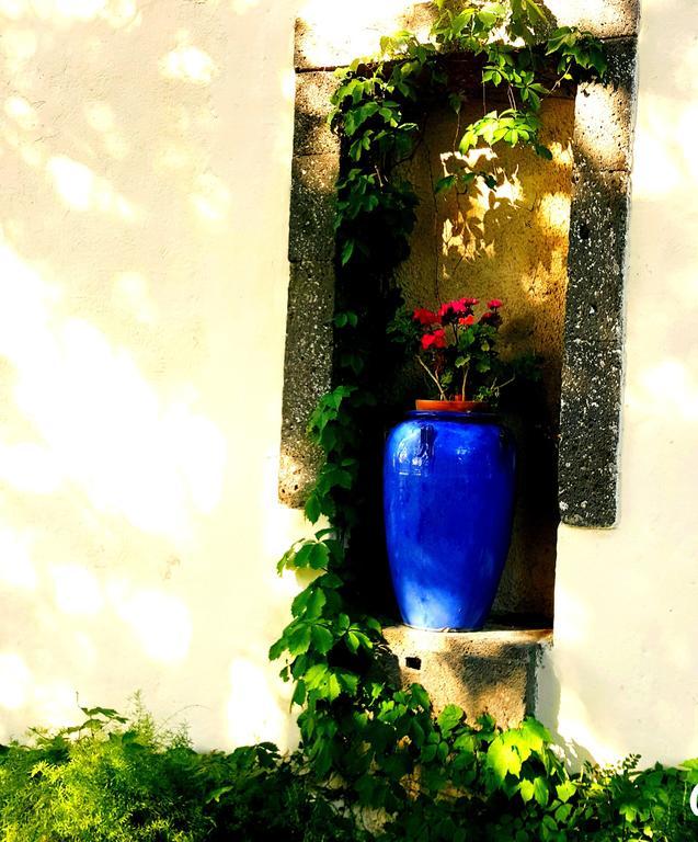 Les Jardins Du Patriarche Hotel アグド エクステリア 写真