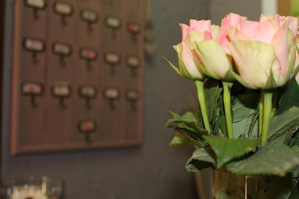 Les Jardins Du Patriarche Hotel アグド エクステリア 写真