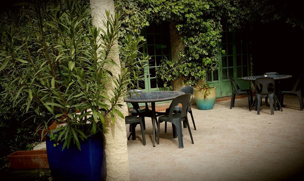 Les Jardins Du Patriarche Hotel アグド エクステリア 写真